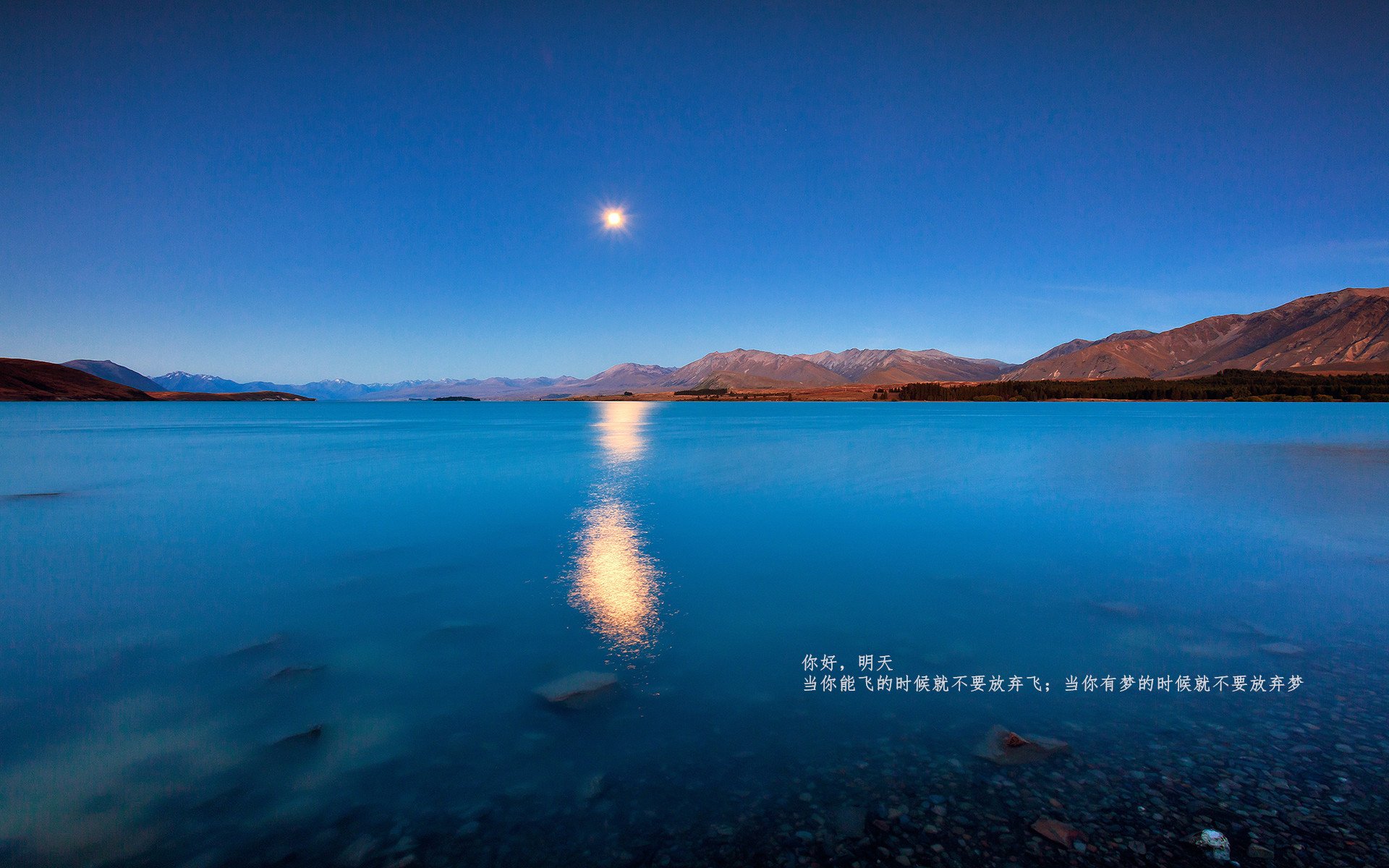 【战术博弈】防守与进攻的完美结合战术大揭秘，防守战术还有什么用