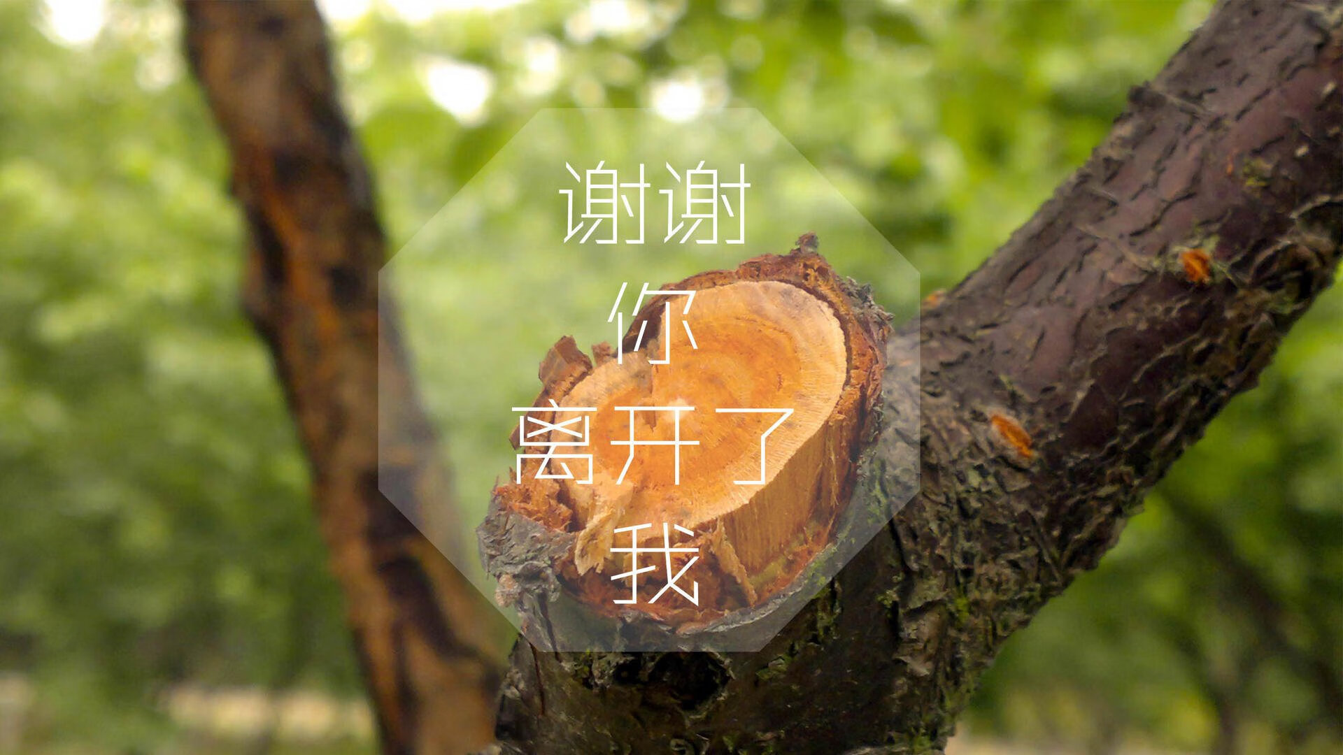 “青春无限”青少年篮球公益赛事在重庆火热开启,重庆2021青少年篮球比赛报名