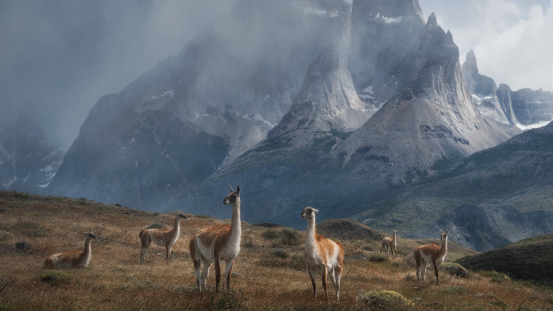 九游电竞-墨西哥男足在巴黎奥运会比赛中以3-0击败几内亚，奥运会男足墨西哥队