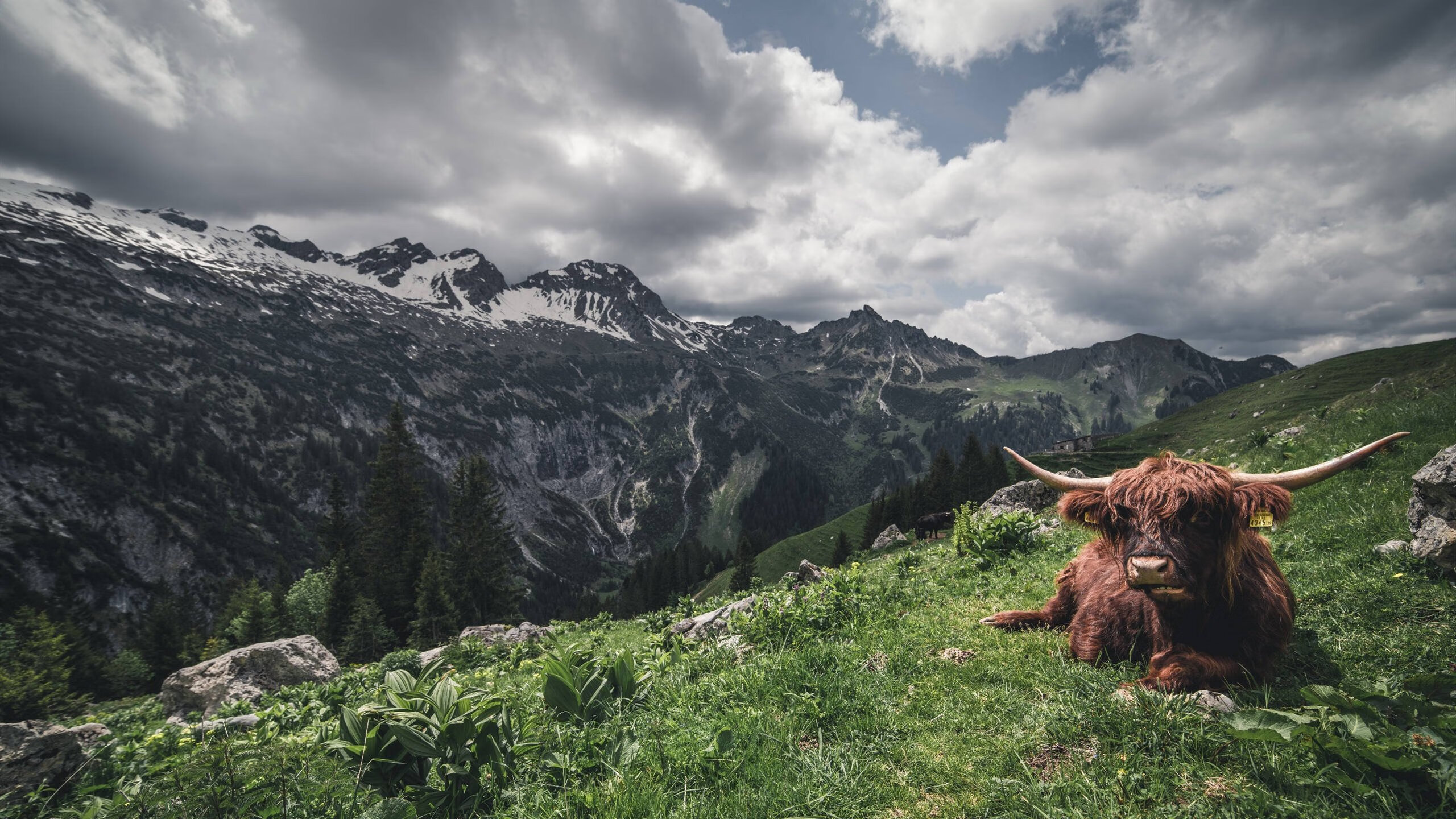 9游游戏官网-德甲球队在欧洲赛场频频获奖，德甲第几名踢欧联杯